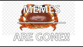 Article_13_Crabs.webm