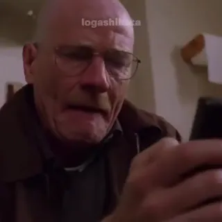 Breaking_Monkey.mp4