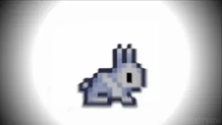 Bunny_Hopping.mp4