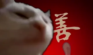 Catar.mp4