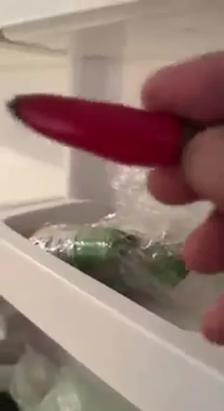 Chili_Willie.mp4