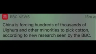 China_Rose_For_Us.mp4