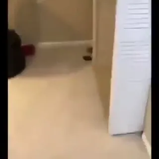 Closet_Secret.webm