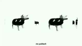 Cow.mp4