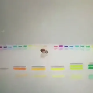 Crab_Hours.mp4
