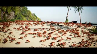 Crabposting.mp4