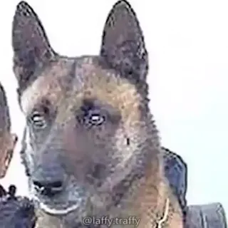 Cursed_Emotion.webm