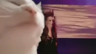 Dead_or_Meow.mp4