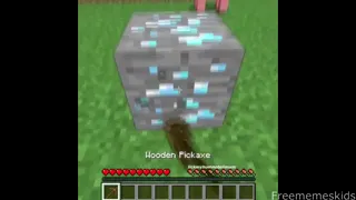 Diamond_Flamingo.mp4