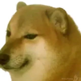 Doorime.webm