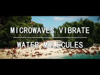 Educating_Crabs.mp4