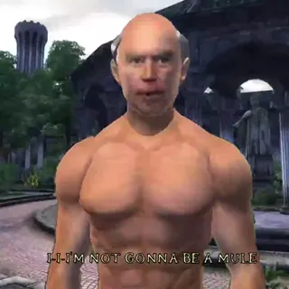 Elder_Joes.mp4
