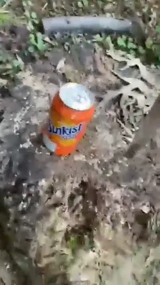 Fantasia.mp4