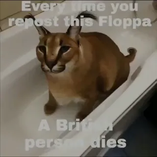 Floppa_Innit.mp4