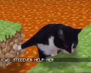 Ghost_in_Minecraft.webm