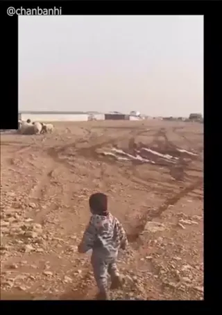 Goodboye.mp4