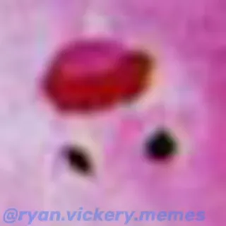 Kirbys_Cursed_Sports.webm