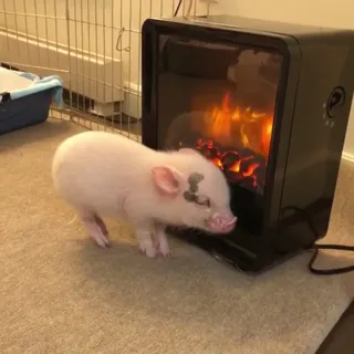 Logan_Right_Now.mp4