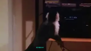 Marcell.mp4
