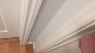 Modern_Doggo.mp4