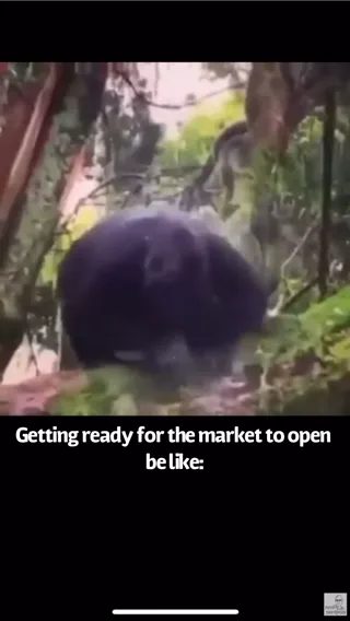 Monkeystox.mp4