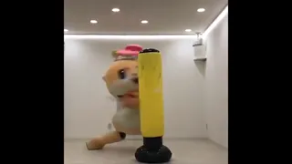 Mr_Chiitan_Sky.mp4