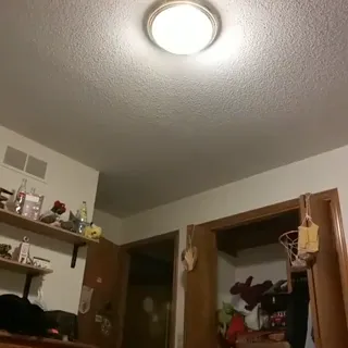 One_More_Thing_Bro.mp4