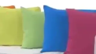 Pillow_Pet.mp4