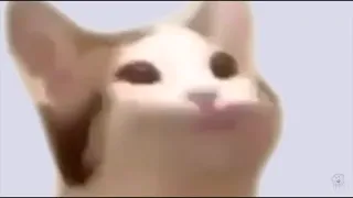 Pop.mp4