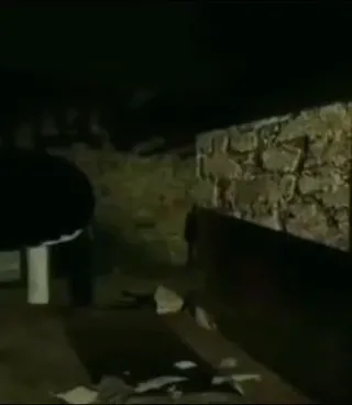 Pre-CowChop_Days.mp4