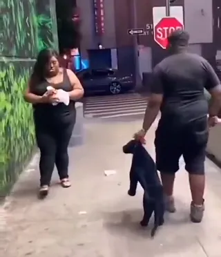 Shadow.mp4