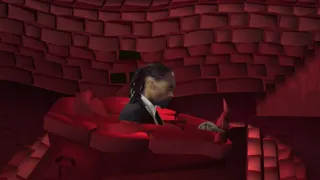Snoop_Barrows.mp4