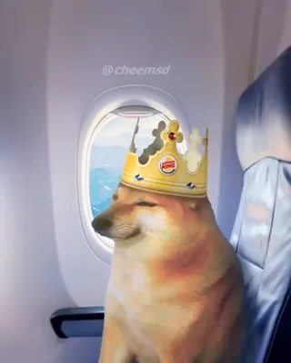 United_Cheemlines.mp4