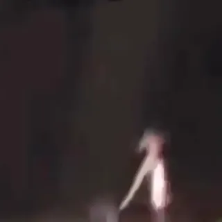 Valk_Mains.mp4