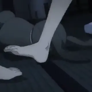 bardo_bosta.mp4
