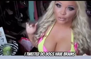 do_dogs_have_brains.mov