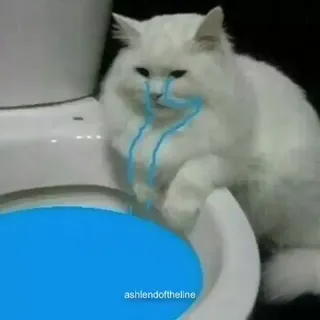 idontwannabecatanymore.webm