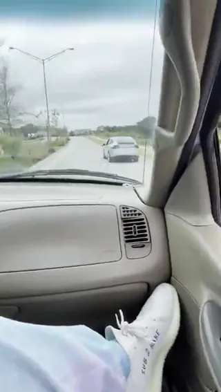 k9_taxi.mp4