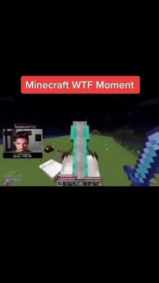 minecraft_crimes.mp4