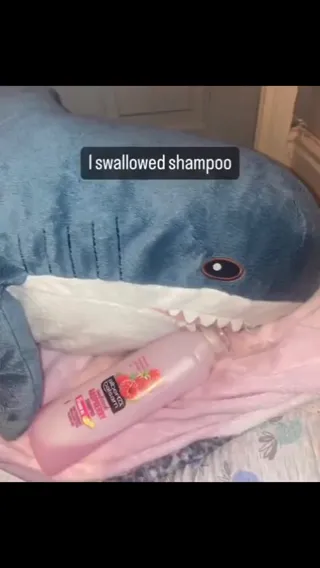 smelled_like_fruit.mp4