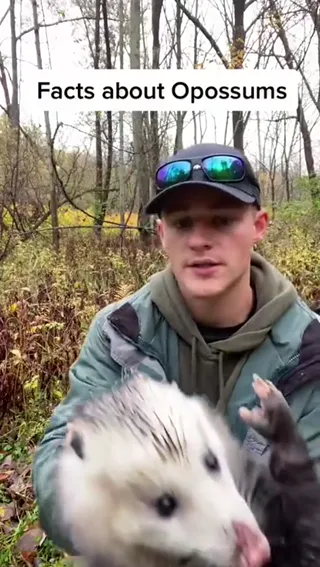 todays_lesson_opossums.mp4