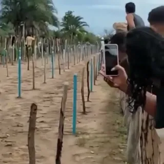 toshredsyousay.mp4