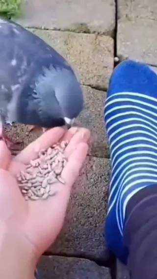 whos_biting_now_bitch.mp4