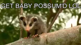 yikes.mp4